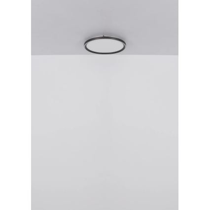 Globo - LED Димируем плафон LED/48W/230V Ø 50 cm 2700-6000K + дистанционно управление