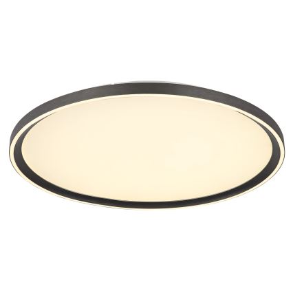 Globo - LED Димируем плафон LED/48W/230V Ø 50 cm 2700-6000K + дистанционно управление