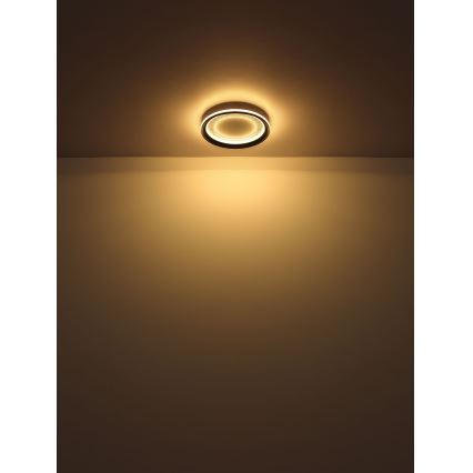 Globo - LED Димируем плафон LED/24W/230V 2700-6000K + дистанционно управление