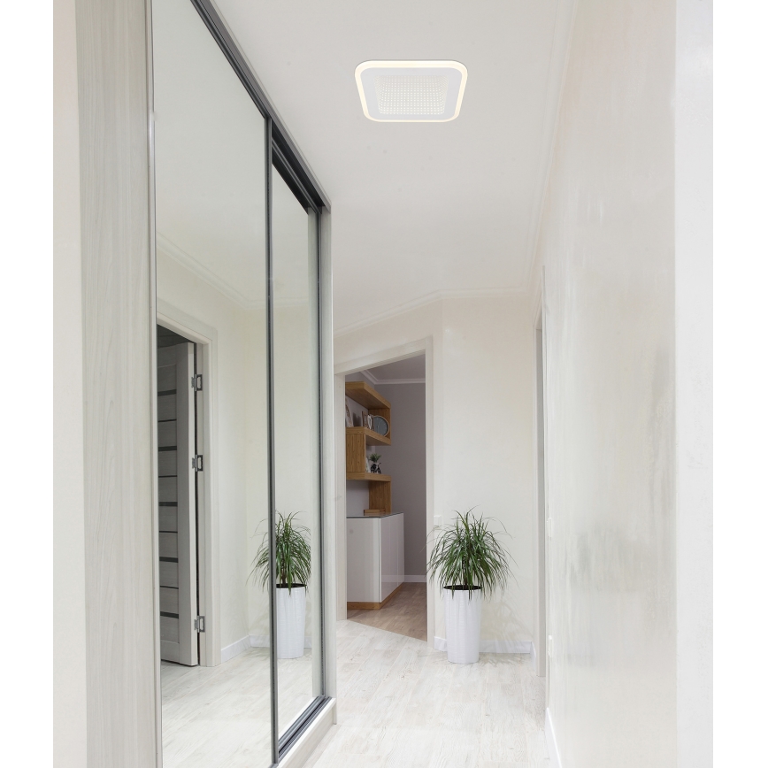 Globo - LED Плафониера LED/12W/230V 4000K