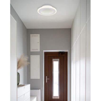 Globo - LED Плафониера LED/12W/230V 4000K