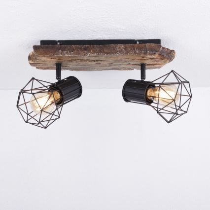 Globo - Спот 2xE27/60W/230V