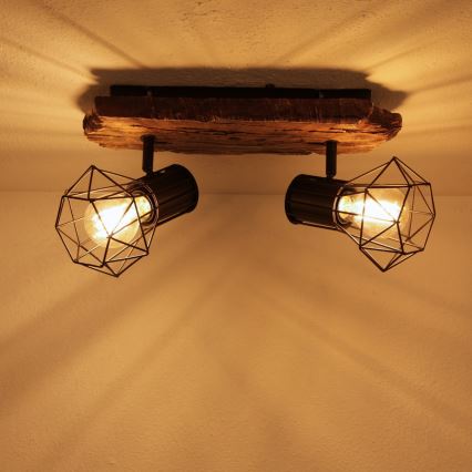 Globo - Спот 2xE27/60W/230V