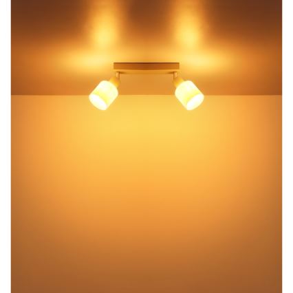 Globo - Точково осветително тяло 2xE14/25W/230V