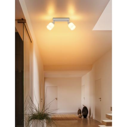 Globo - Точково осветително тяло 2xE14/25W/230V