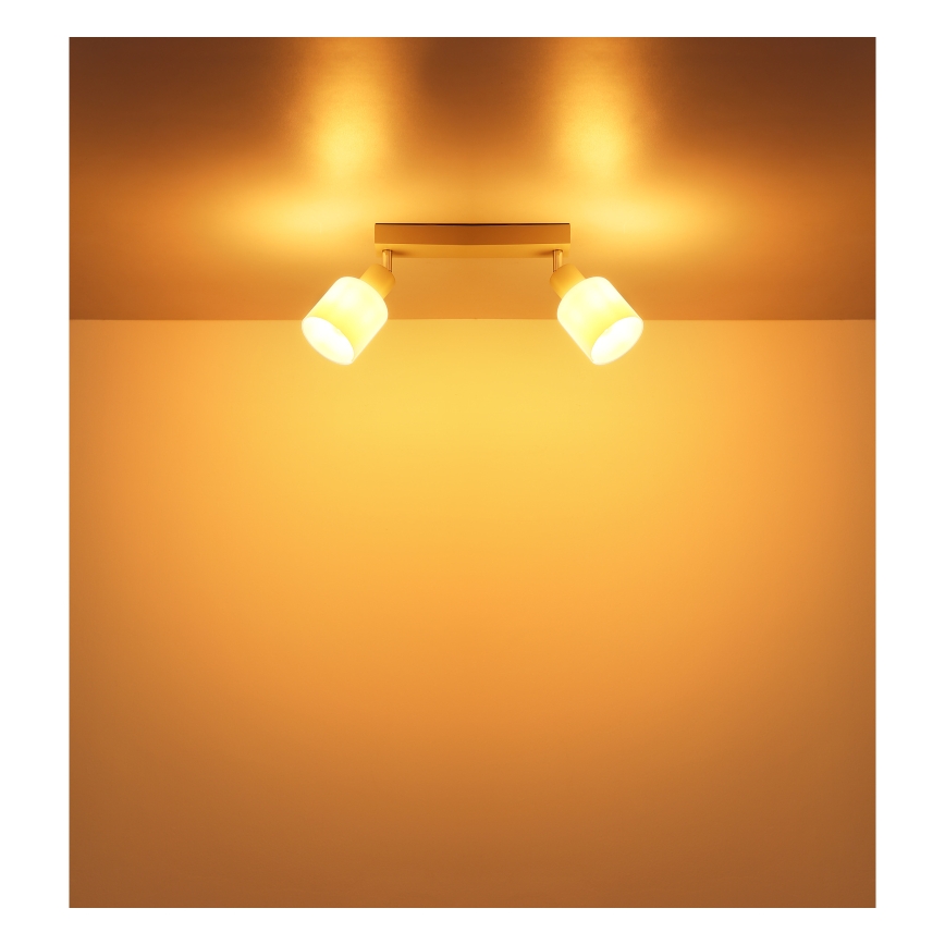 Globo - Точково осветително тяло 2xE14/25W/230V