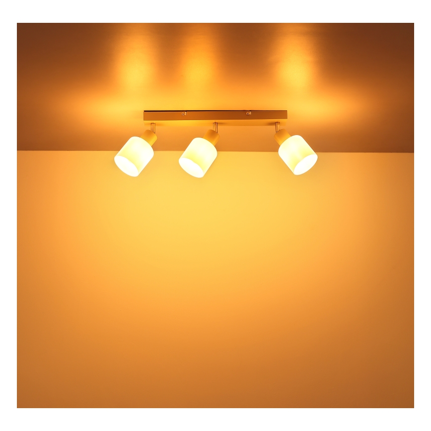 Globo - Точково осветително тяло 3xE14/25W/230V