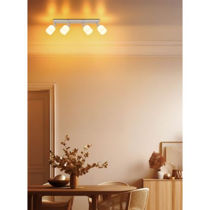 Globo - Точково осветително тяло 4xE14/25W/230V