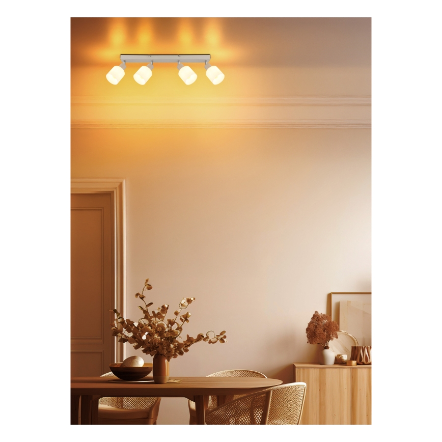 Globo - Точково осветително тяло 4xE14/25W/230V