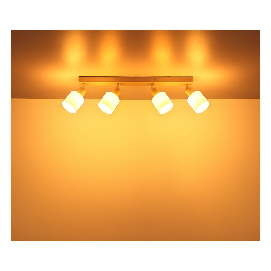 Globo - Точково осветително тяло 4xE14/25W/230V