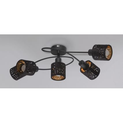 Globo - Полилей за прикрепяне 5xE14/8W/230V