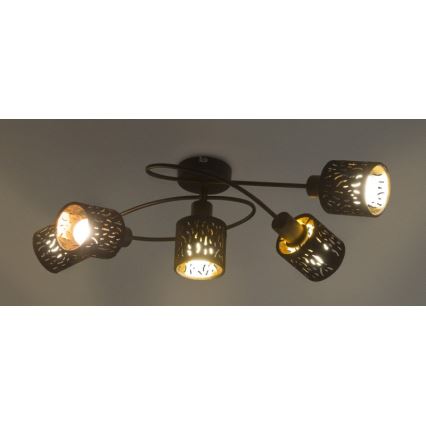 Globo - Полилей за прикрепяне 5xE14/8W/230V