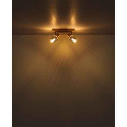 Globo - Спот 2xE14/40W/230V