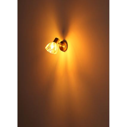 Globo - Спот аплик 1xE14/40W/230V златист