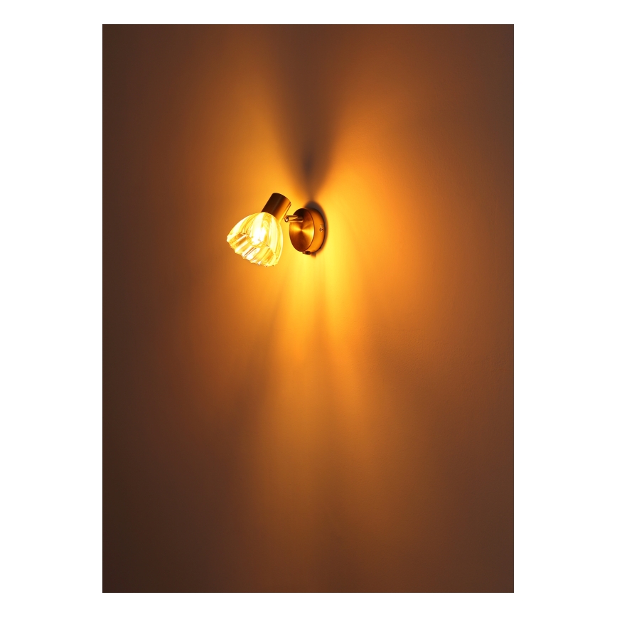 Globo - Спот аплик 1xE14/40W/230V златист