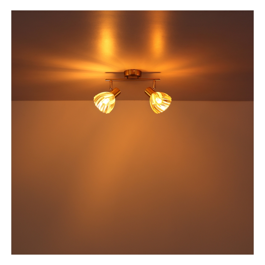 Globo - Спот 2xE14/40W/230V златист