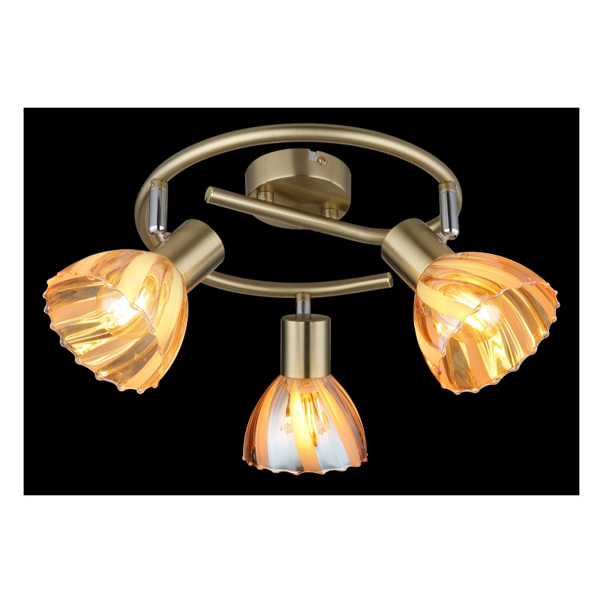 Globo - Спот 3xE14/40W/230V златист