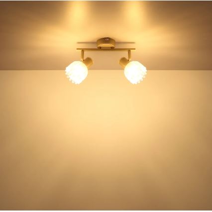 Globo - Спот осветително тяло 2xE14/40W/230V