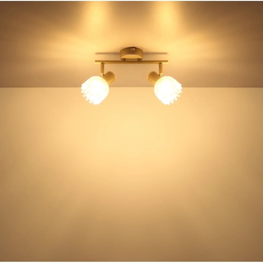 Globo - Спот осветително тяло 2xE14/40W/230V