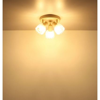 Globo - Точково осветително тяло 3xE14/40W/230V
