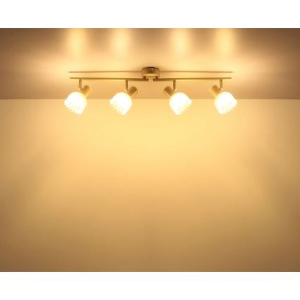 Globo - Точково осветително тяло 4xE14/40W/230V