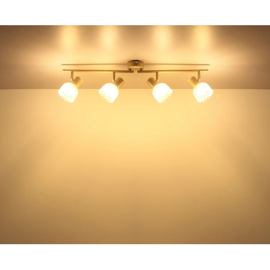 Globo - Точково осветително тяло 4xE14/40W/230V