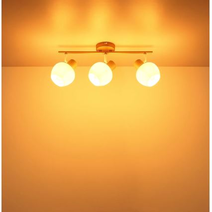 Globo - Точково осветително тяло 3xE27/40W/230V