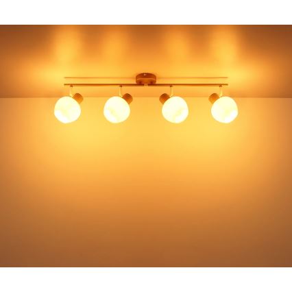 Globo - Спот осветително тяло 4xE27/40W/230V