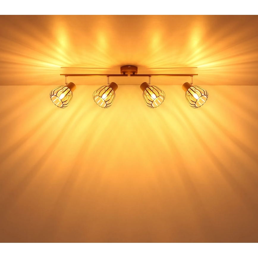 Globo - Точково осветително тяло 4xE27/40W/230V