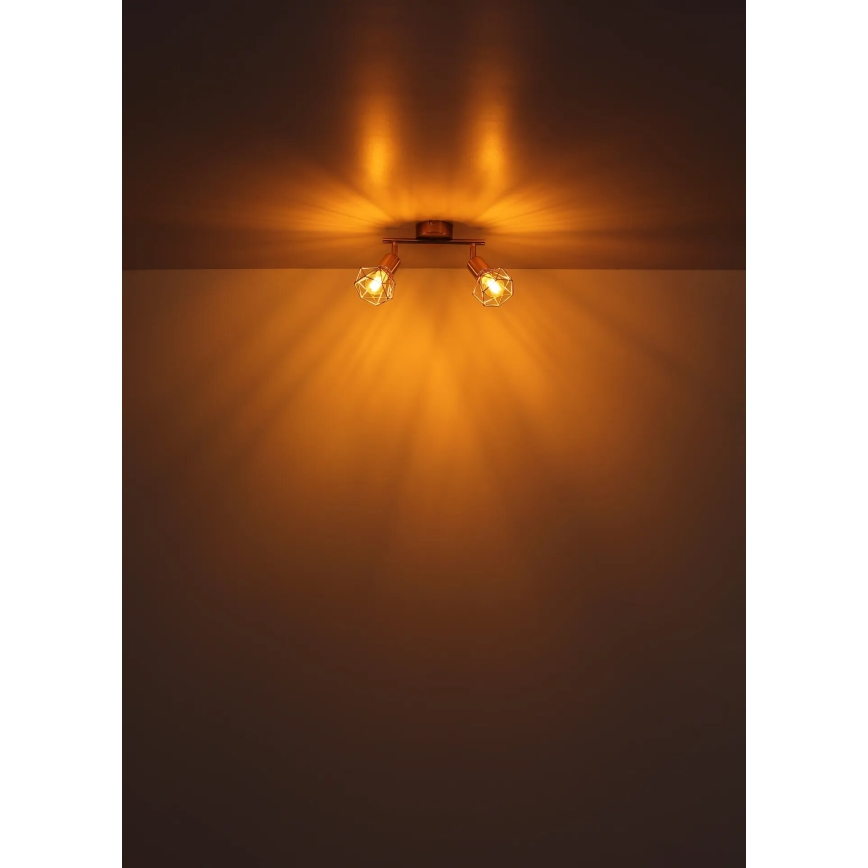 Globo - Спот 2xE14/40W/230V златист
