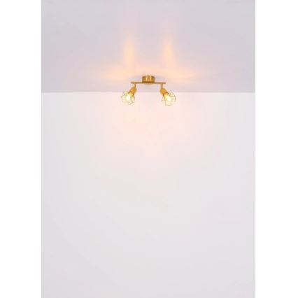 Globo - Спот 2xE14/40W/230V златист