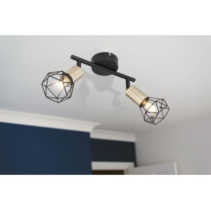 Globo - Спот 2xE14/40W/230V