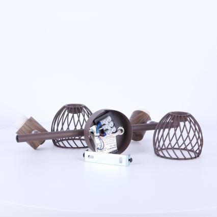 Globo - Точково осветително тяло 2xE14/40W/230V