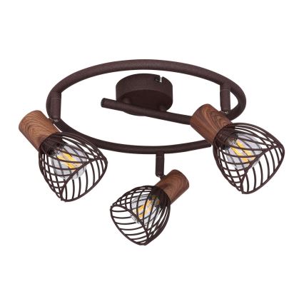 Globo - Точково осветително тяло 3xE14/40W/230V