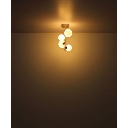 Globo - LED Полилей 4xG9/3W/230V матов хром