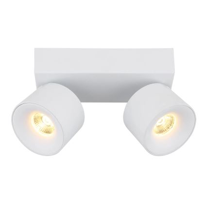 Globo - LED Спот 2xLED/6W/230V бял