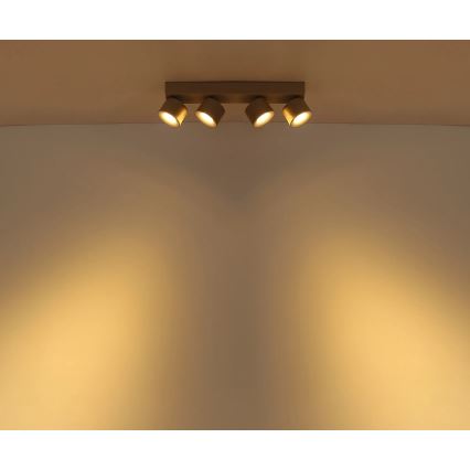 Globo - LED точково осветително тяло 4xLED/6W/230V