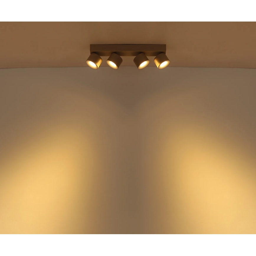 Globo - LED точково осветително тяло 4xLED/6W/230V