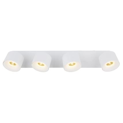 Globo - LED Спот 4xLED/6W/230V бял