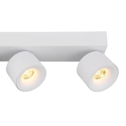Globo - LED Спот 4xLED/6W/230V бял