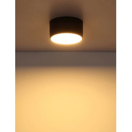 Globo - LED таванно осветително тяло LED/12W/230V 3000K Ø 15 см, черно