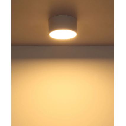 Globo - LED таванно осветително тяло LED/12W/230V 3000K диаметър 15 см бяло