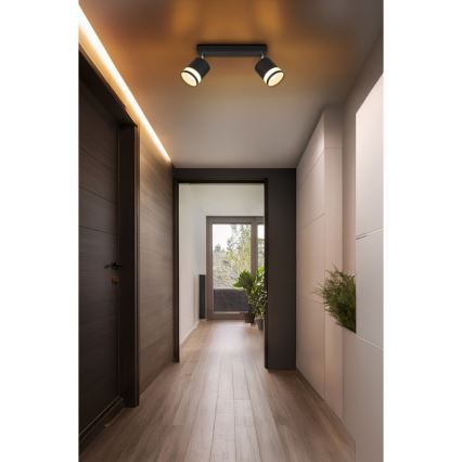 Globo - LED Спот 2xGX53/7W/230V 3000K
