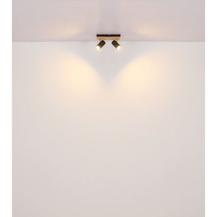 Globo - Спот 2xGU10/25W/230V черен