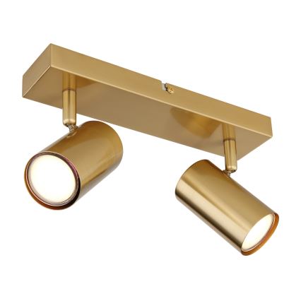 Globo - Спот 2xGU10/35W/230V златист