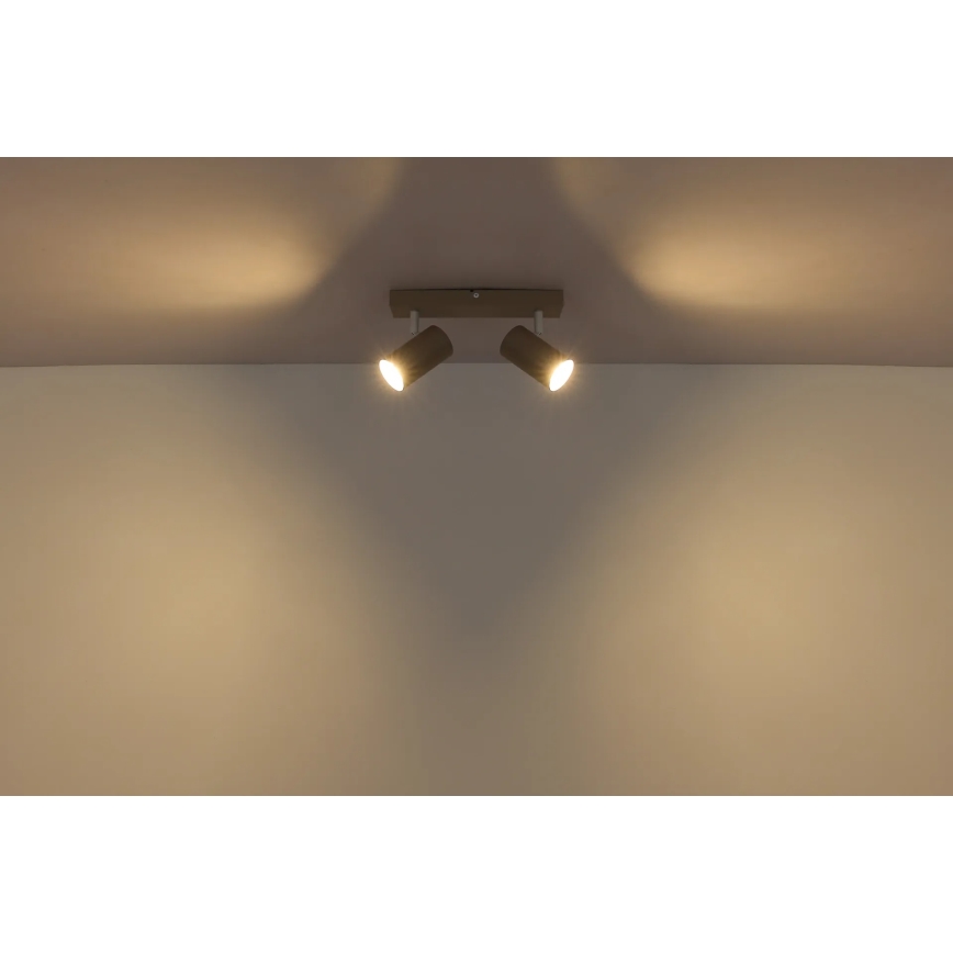 Globo - Точково осветително тяло 2xGU10/35W/230V