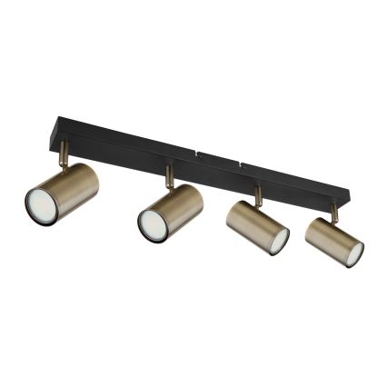 Globo - Спот 4xGU10/35W/230V черен/месинг