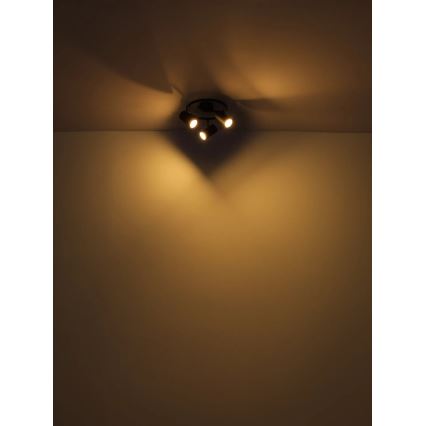 Globo - Спот 3xGU10/25W/230V черен