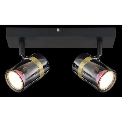 Globo - Спот 2xGU10/8W/230V