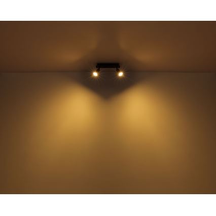 Globo - Спот 2xGU10/35W/230V черен